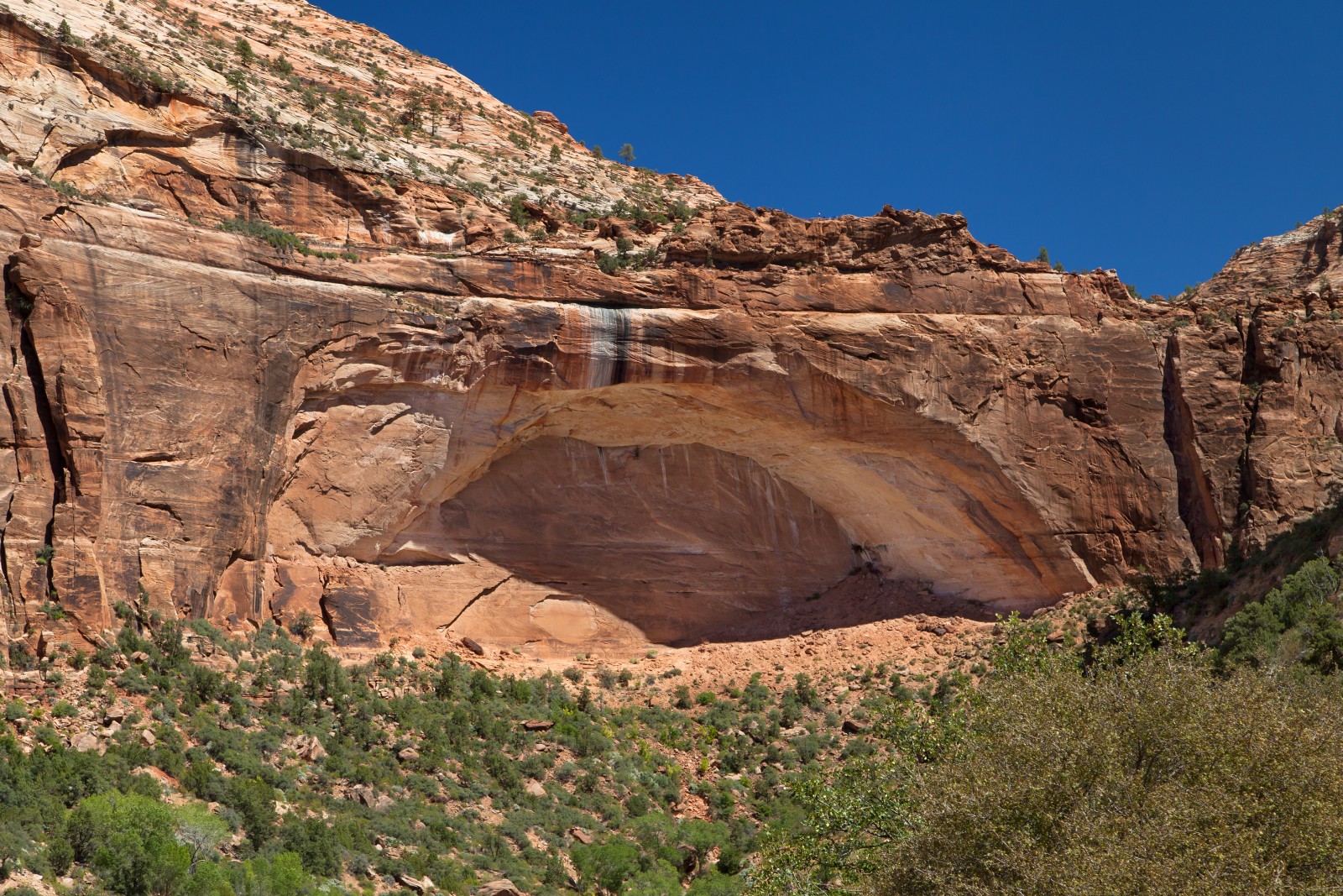 The-Great-Arch-in-Zion-National-Park – National Park Field Guide